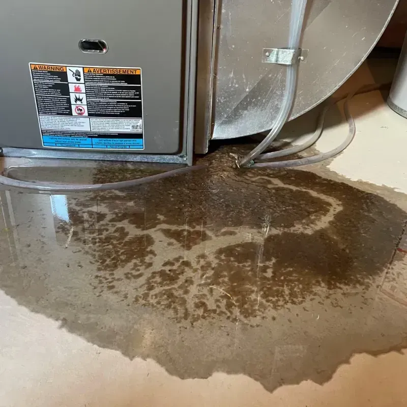 Appliance Leak Cleanup in North Kensington, MD